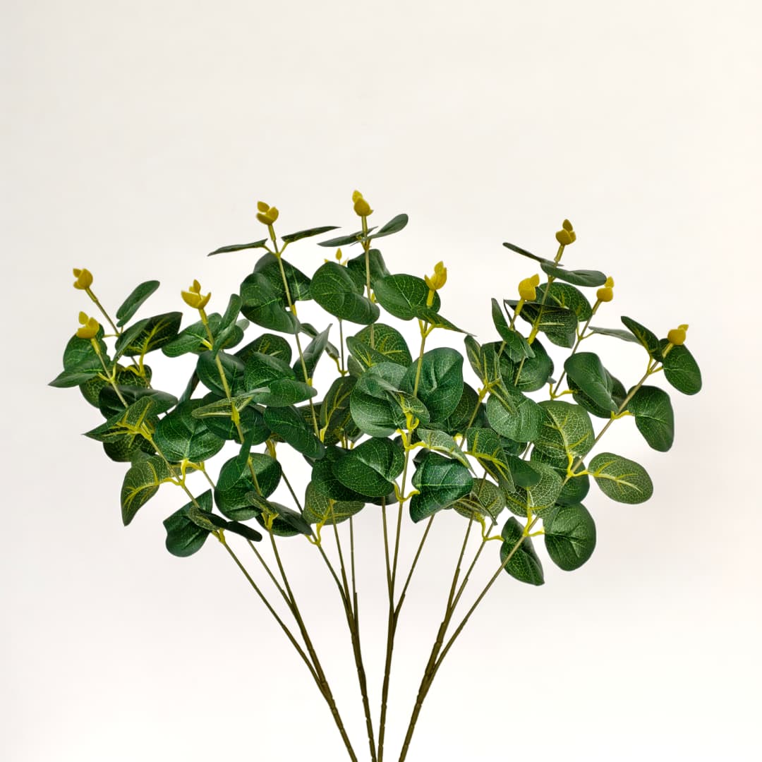 Prongs Eucalyptus x 12 (52cm) | Fillers