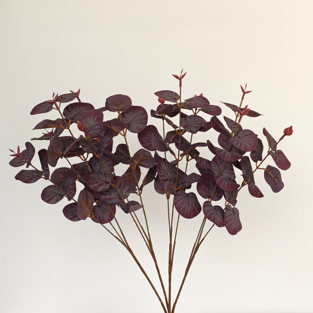 Prongs Eucalyptus x 12 (52cm) | Fillers