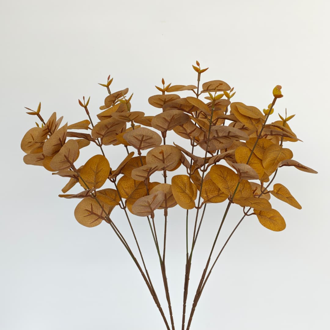 Prongs Eucalyptus x 12 (52cm) | Fillers