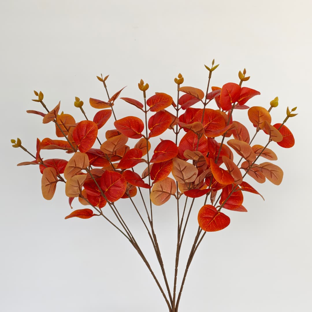 Prongs Eucalyptus x 12 (52cm) | Fillers