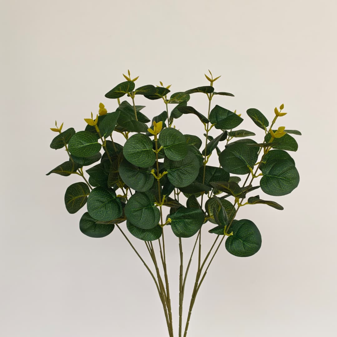 Prongs Eucalyptus x 12 (52cm) | Fillers