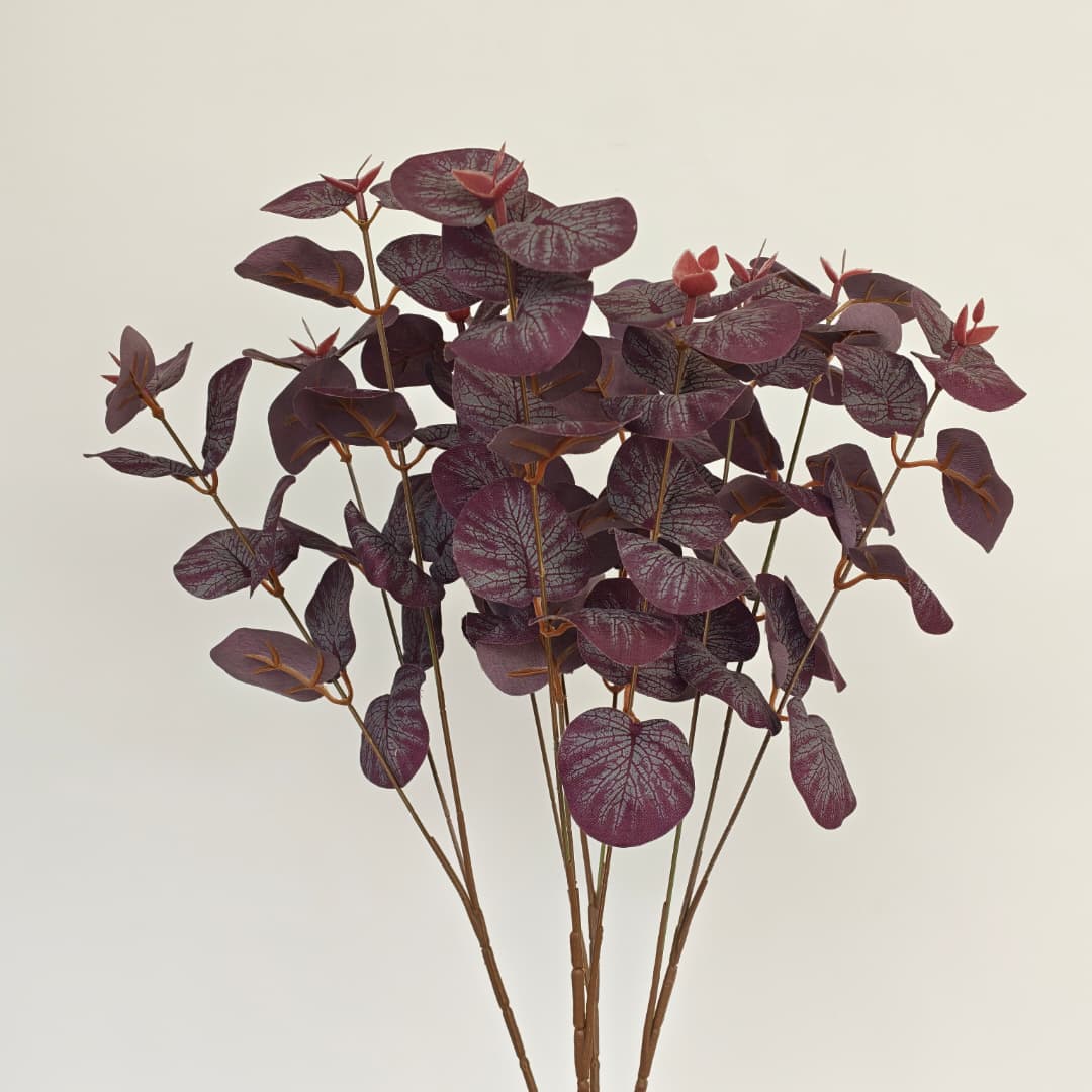 Prongs Eucalyptus x 12 (52cm) | Fillers