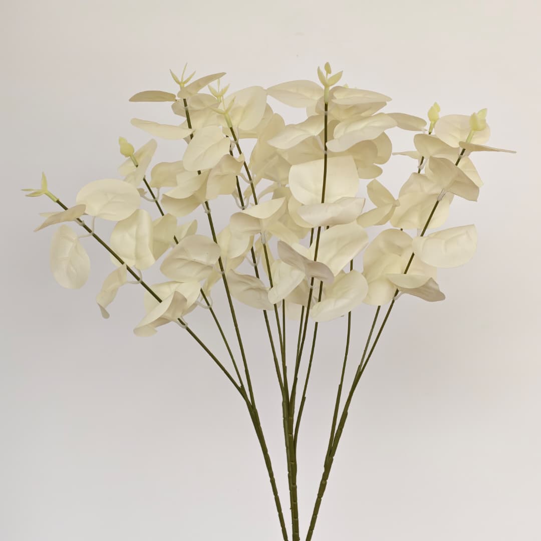 Prongs Eucalyptus x 12 (52cm) | Fillers