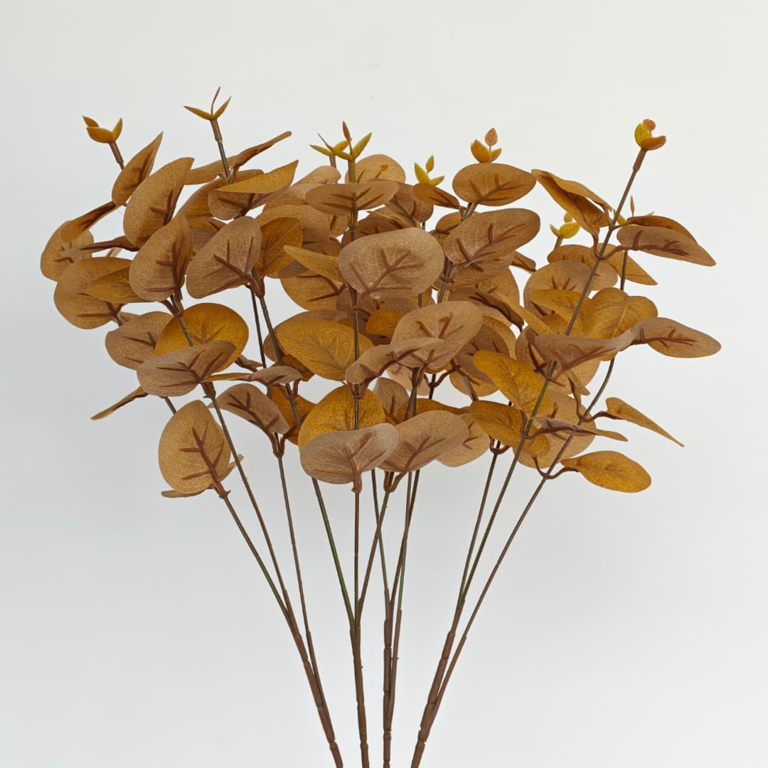 Prongs Eucalyptus x 12 (52cm) | Fillers