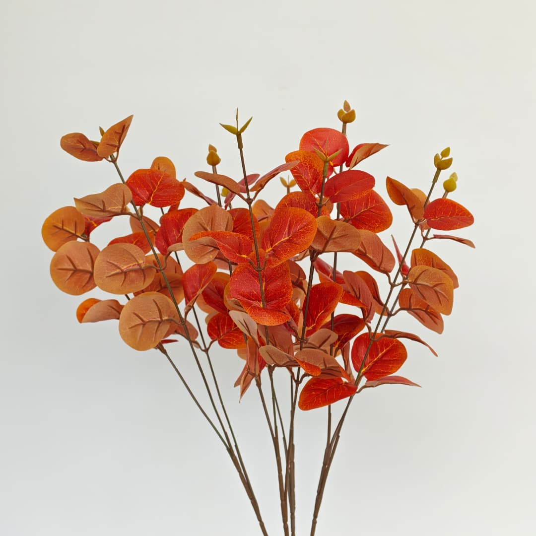 Prongs Eucalyptus x 12 (52cm) | Fillers