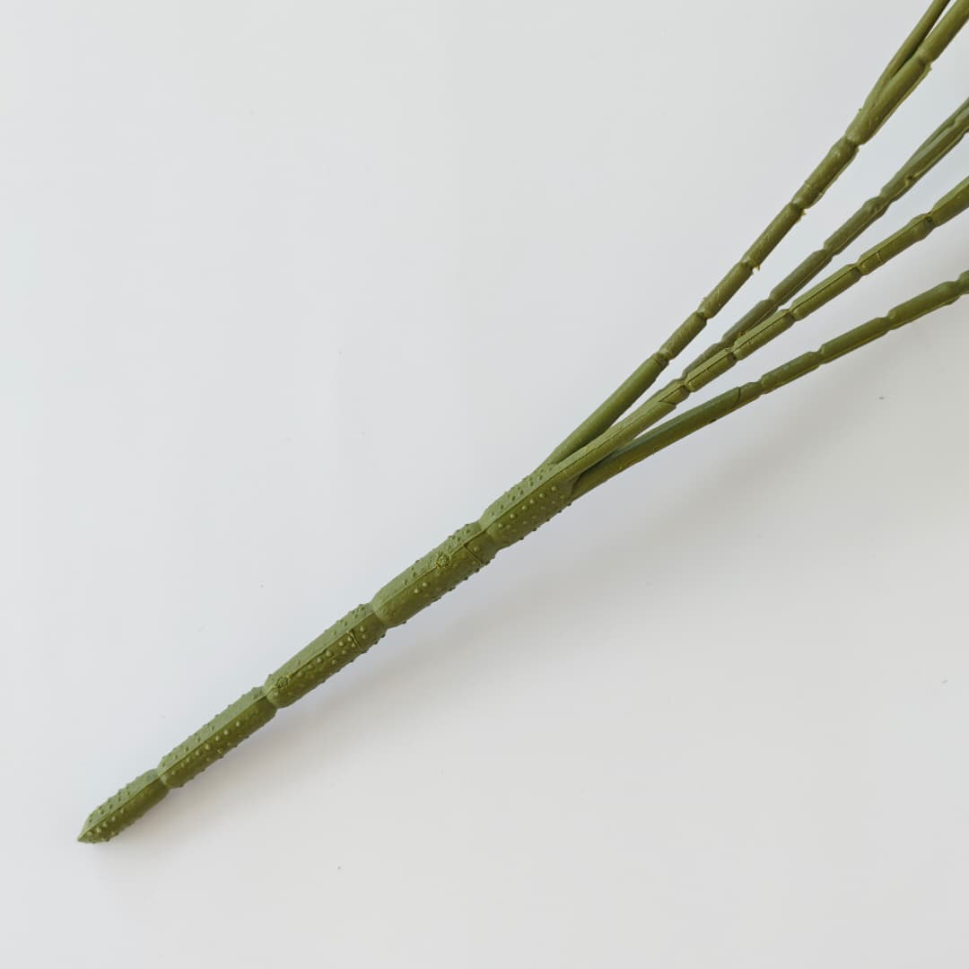 Prongs Eucalyptus x 12 (52cm) | Fillers