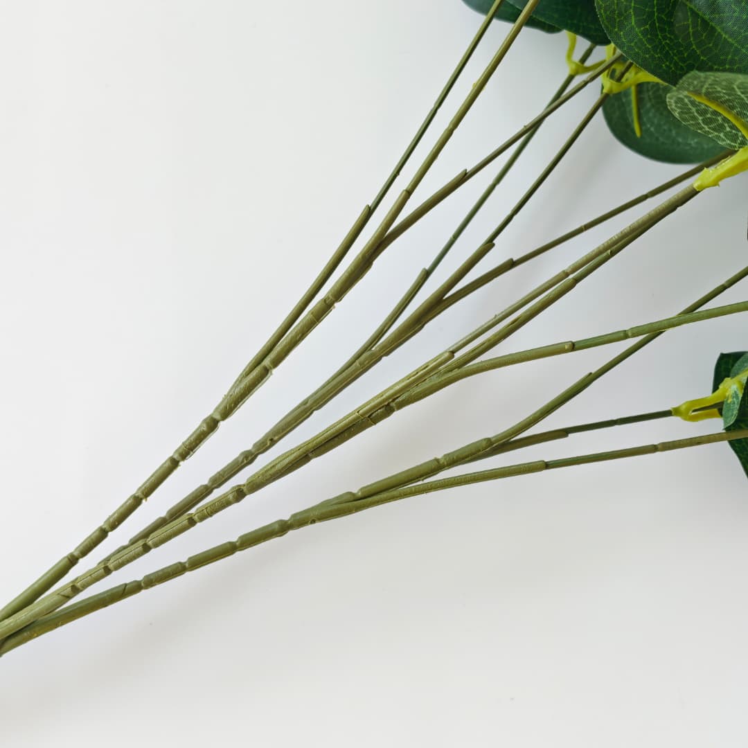 Prongs Eucalyptus x 12 (52cm) | Fillers