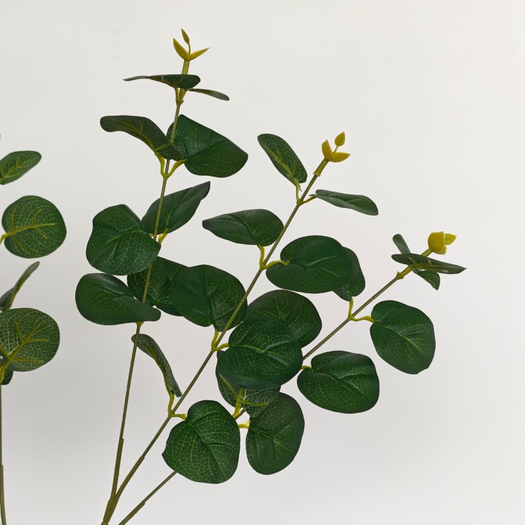 Prongs Eucalyptus x 12 (52cm) | Fillers