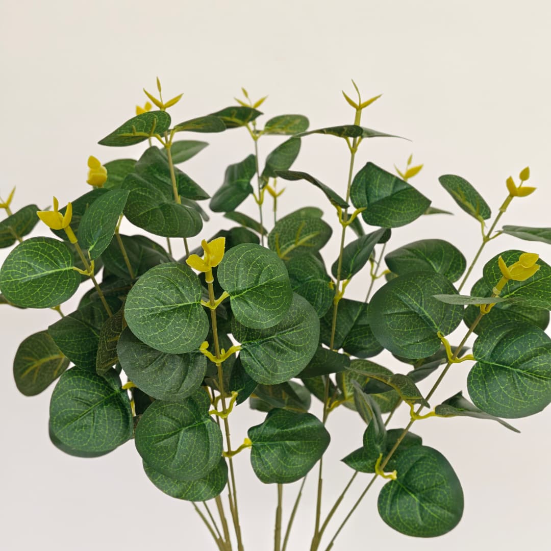 Prongs Eucalyptus x 12 (52cm) | Fillers