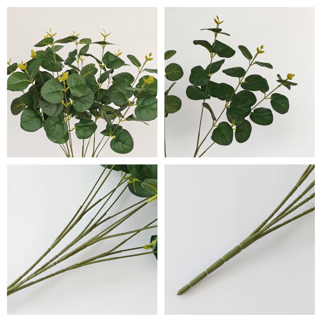 Prongs Eucalyptus x 12 (52cm) | Fillers
