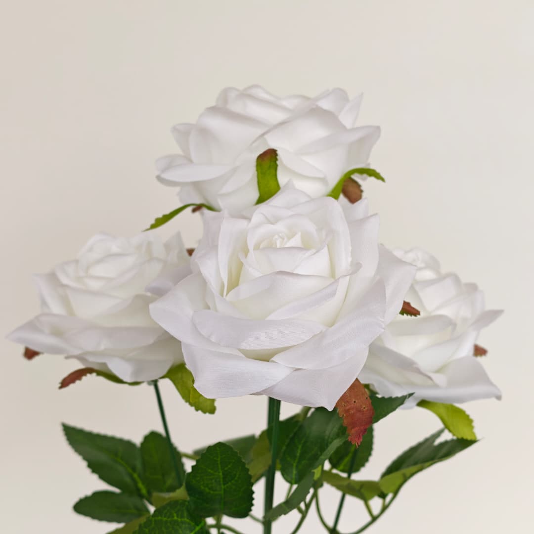Diamond Rose x 5 (43cm) | Short Flowers
