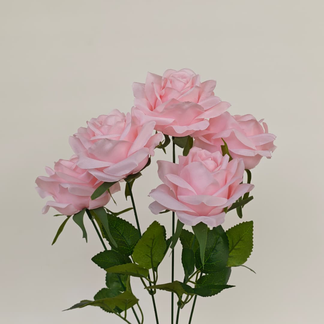 Diamond Rose x 5 (43cm) | Short Flowers
