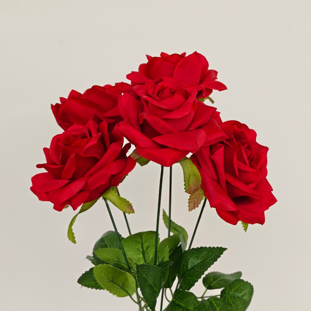 Diamond Rose x 5 (43cm) | Short Flowers