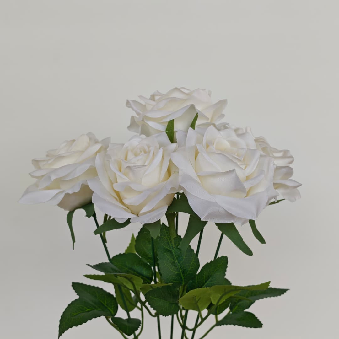 Diamond Rose x 5 (43cm) | Short Flowers