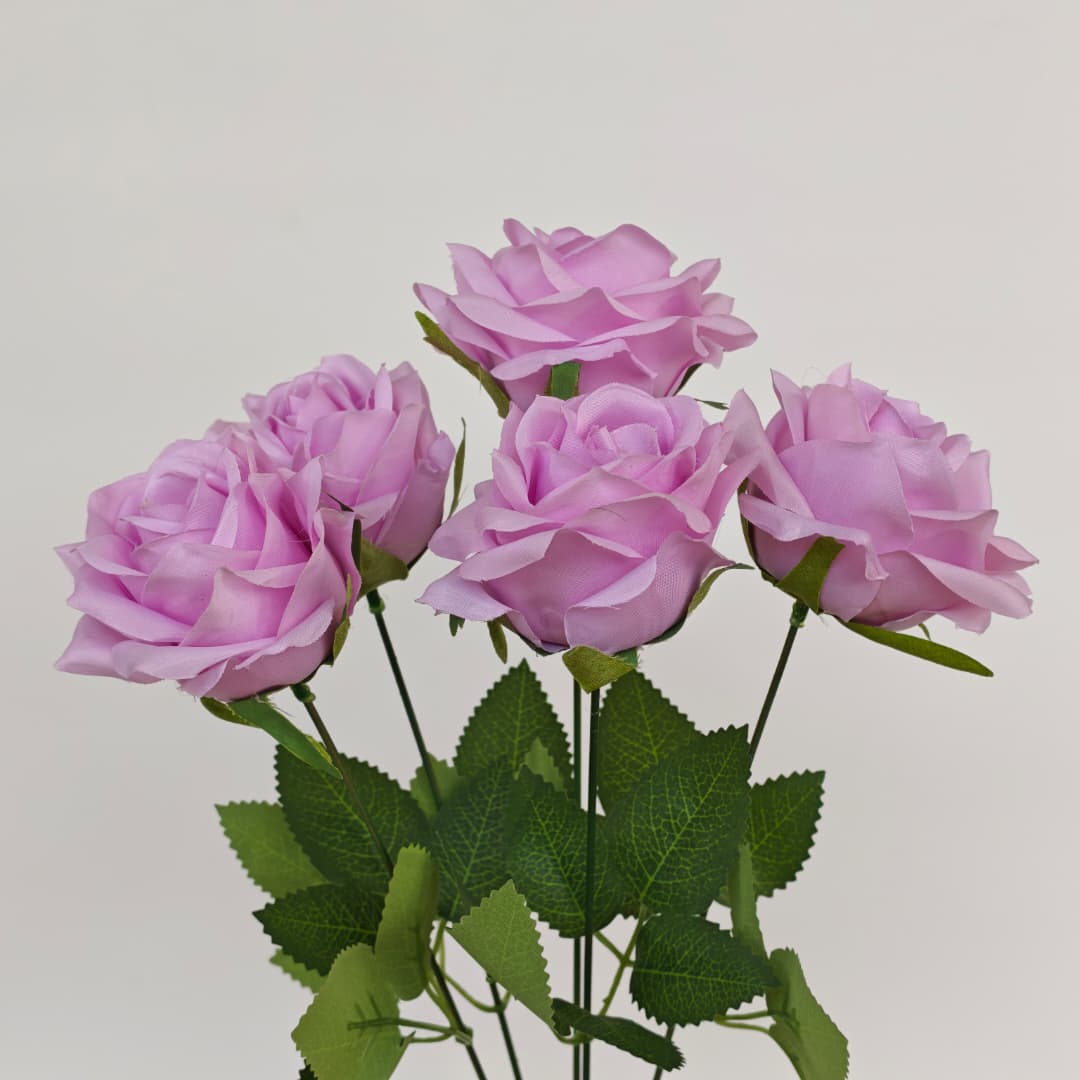Diamond Rose x 5 (43cm) | Short Flowers