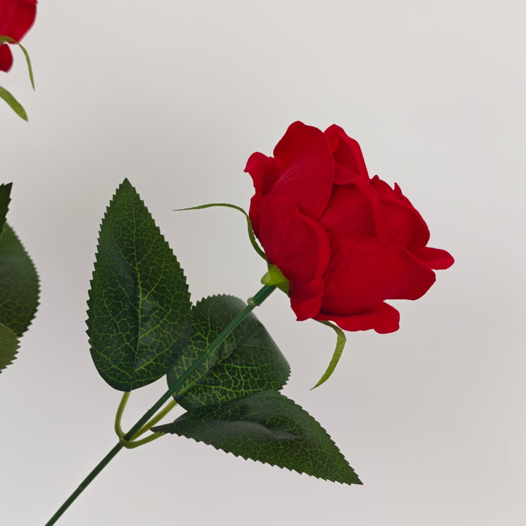 Velvet Rose x 7 (40cm) | Short Flowers