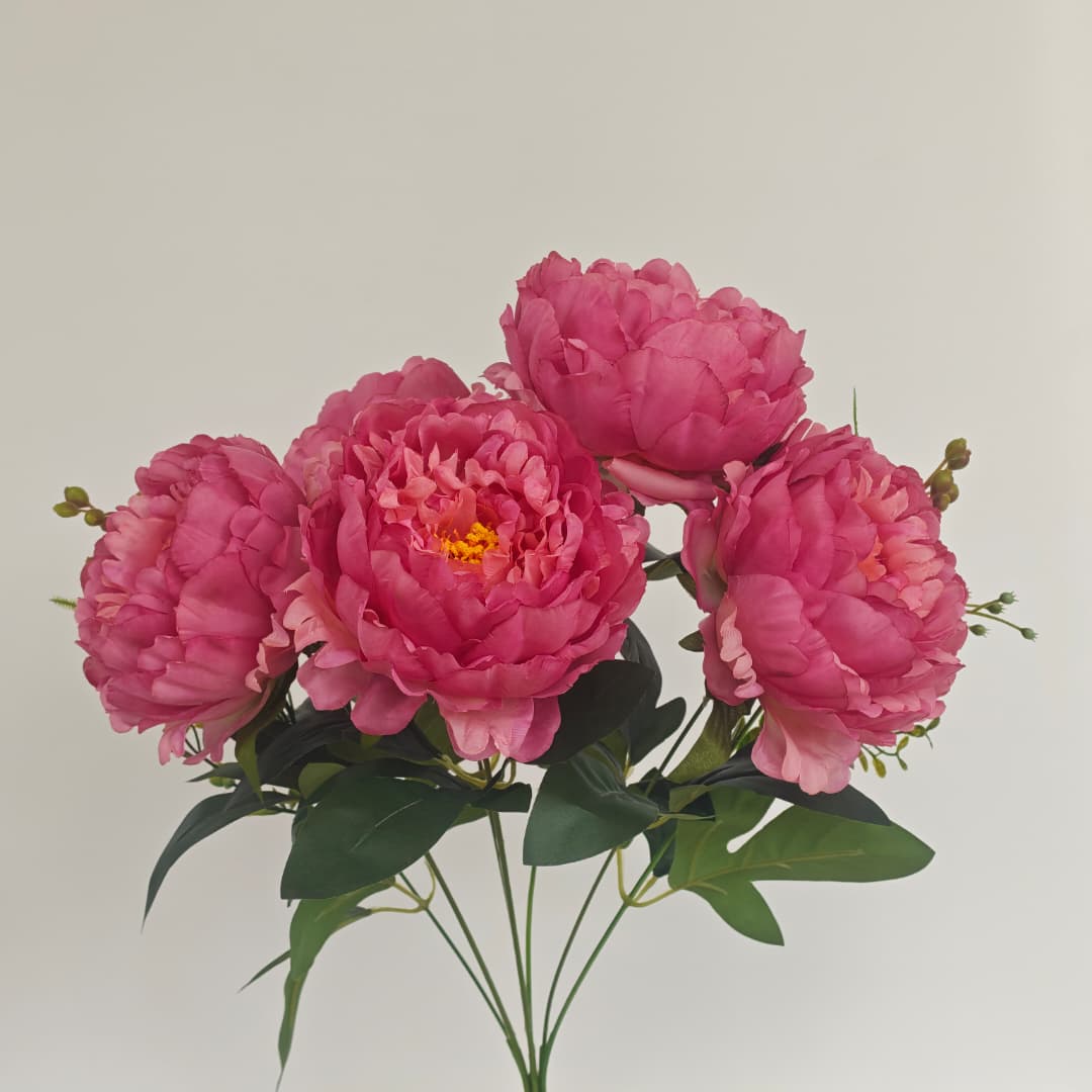 Peony Mix Hand-Tied Bouquet x 7 (47cm) | Short Flowers