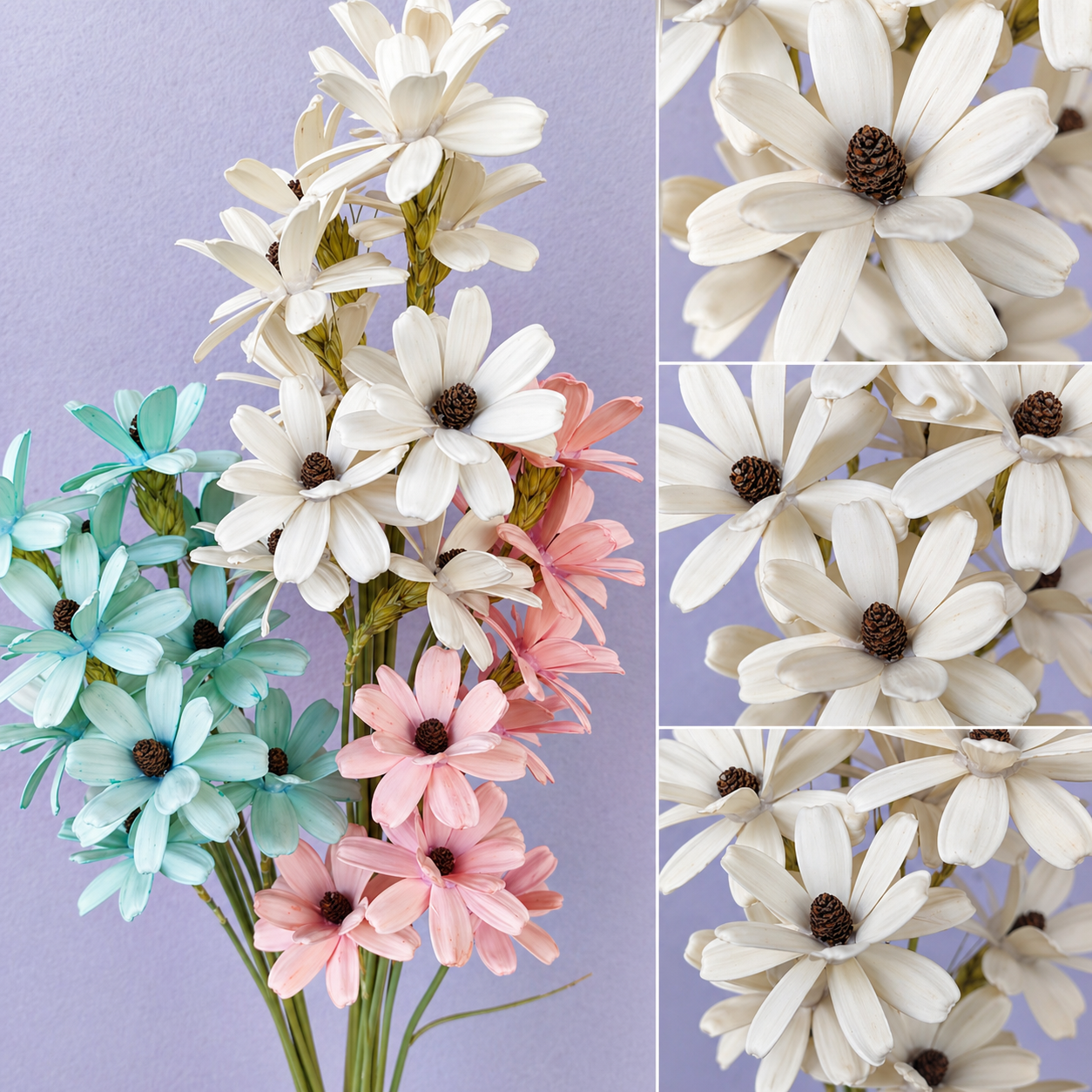 2 Layers Daisy Handmade 10Pcs (Dried Flowers) 两层瓜子花 | Dried Flowers