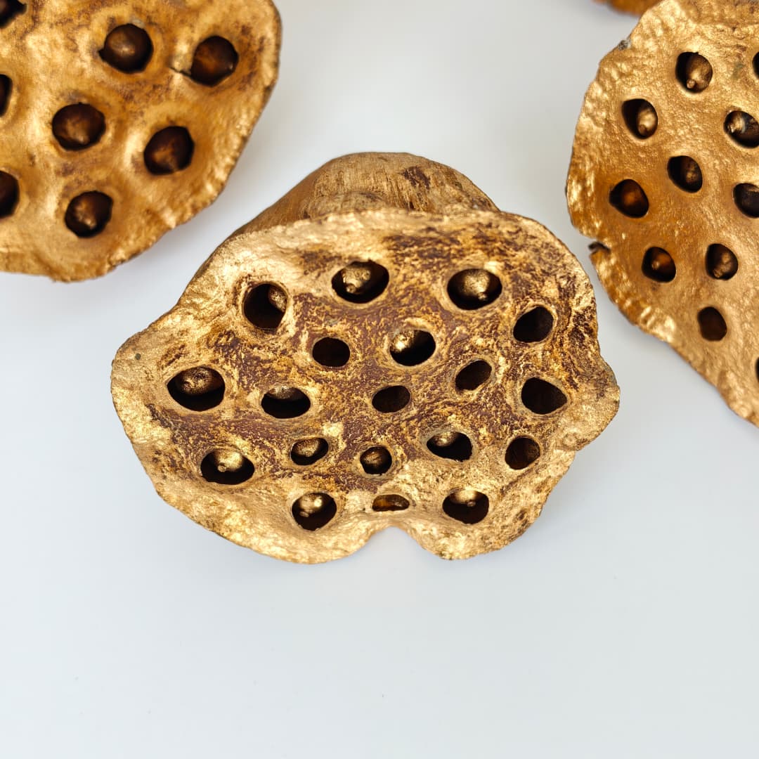 Lotus Seed Pod 风干莲蓬 金色-Gold | Decorative Accessories