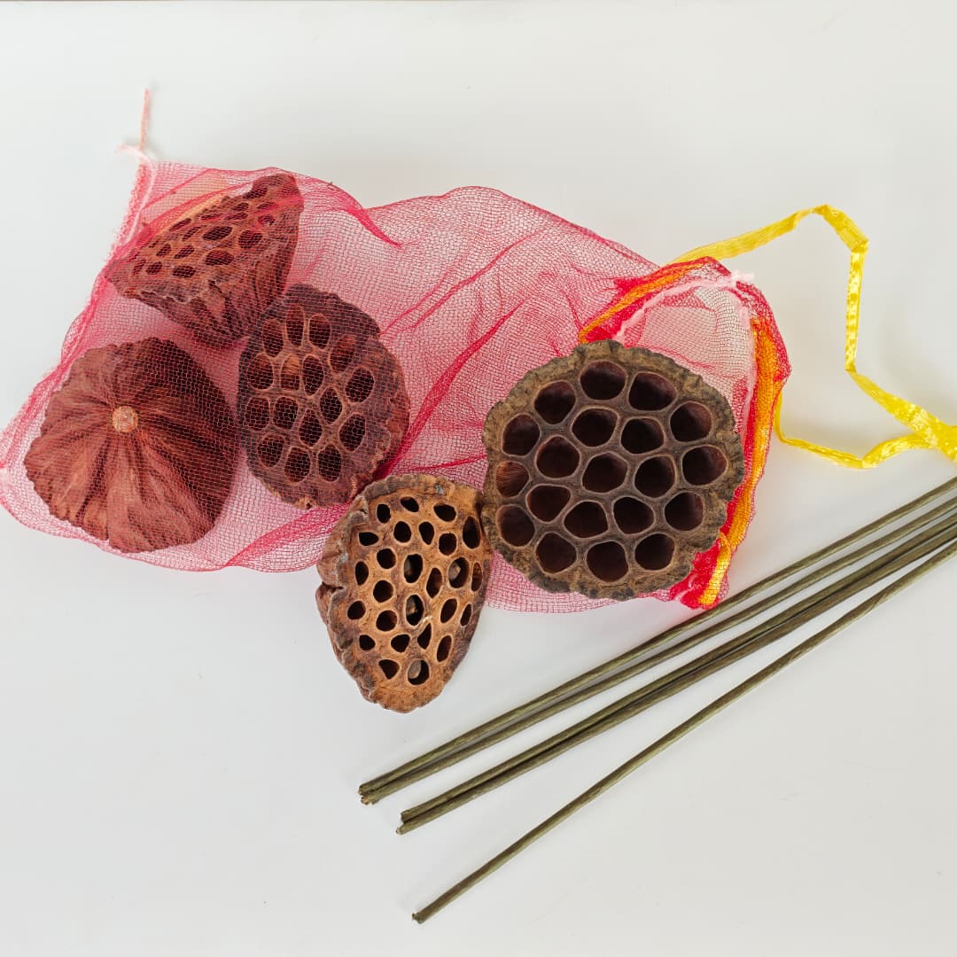 Lotus Seed Pod 风干莲蓬 褐色-Brown | Decorative Accessories