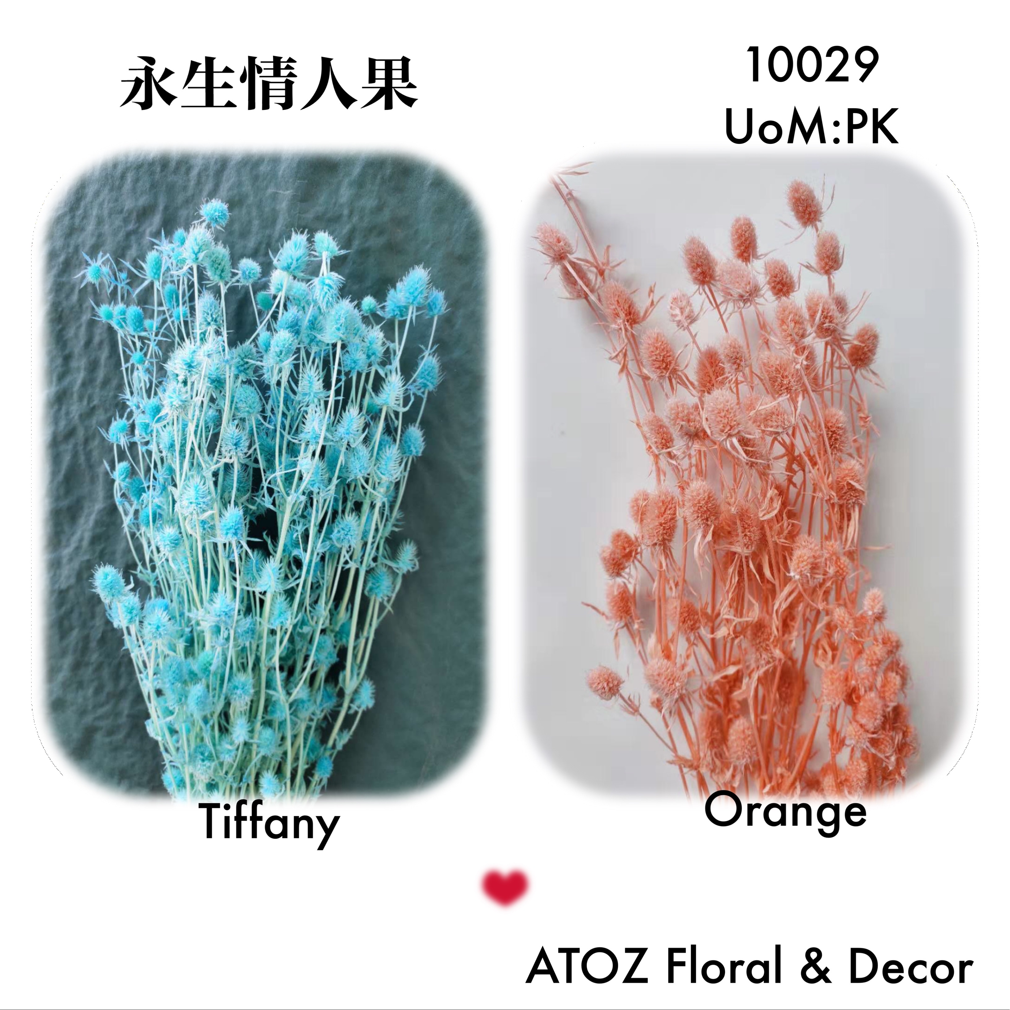 永生情人果 | Dried Flowers