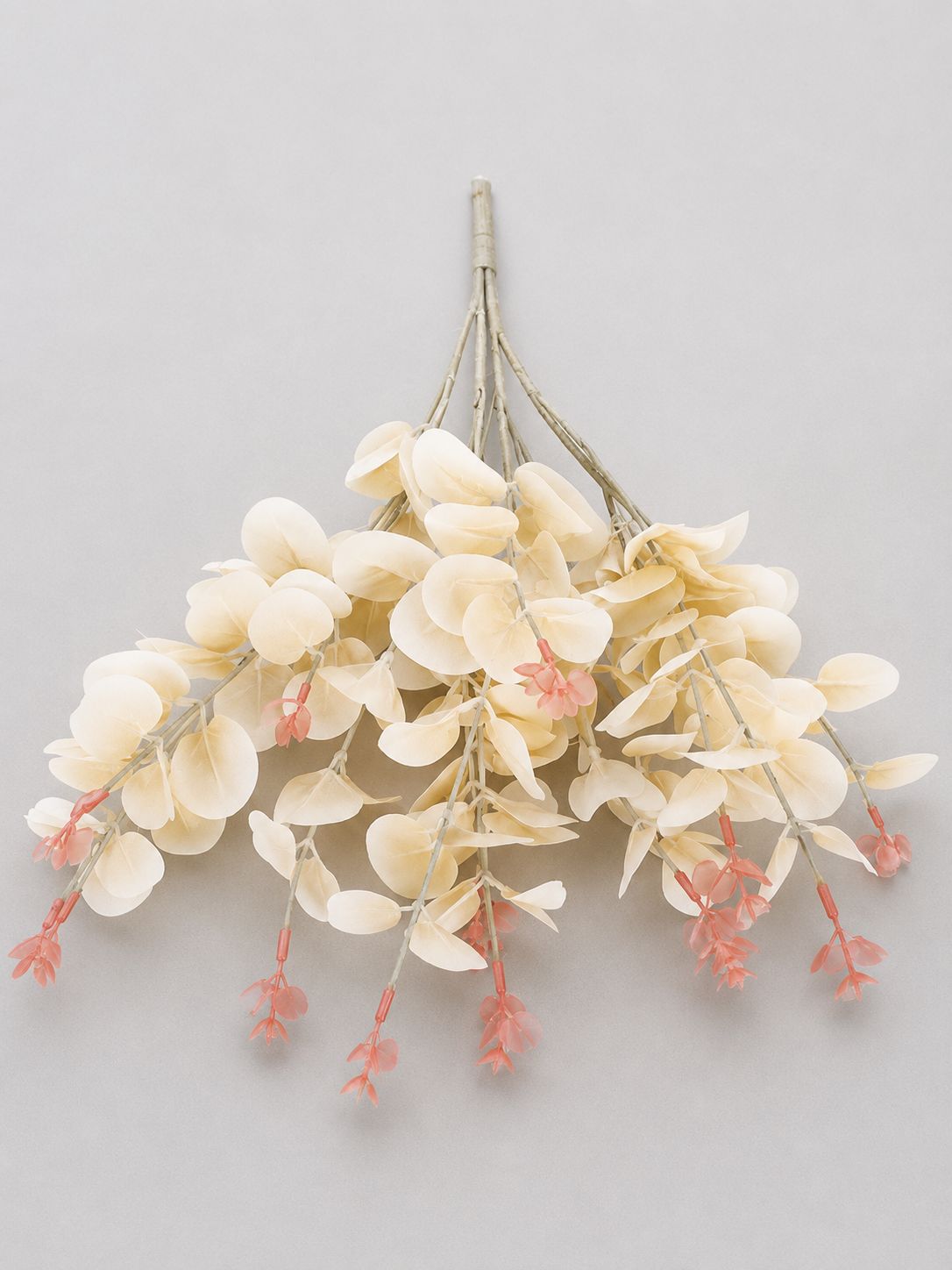 Eucalyptus 16 Heads (45cm) 尤加利/金钱叶 | Fillers