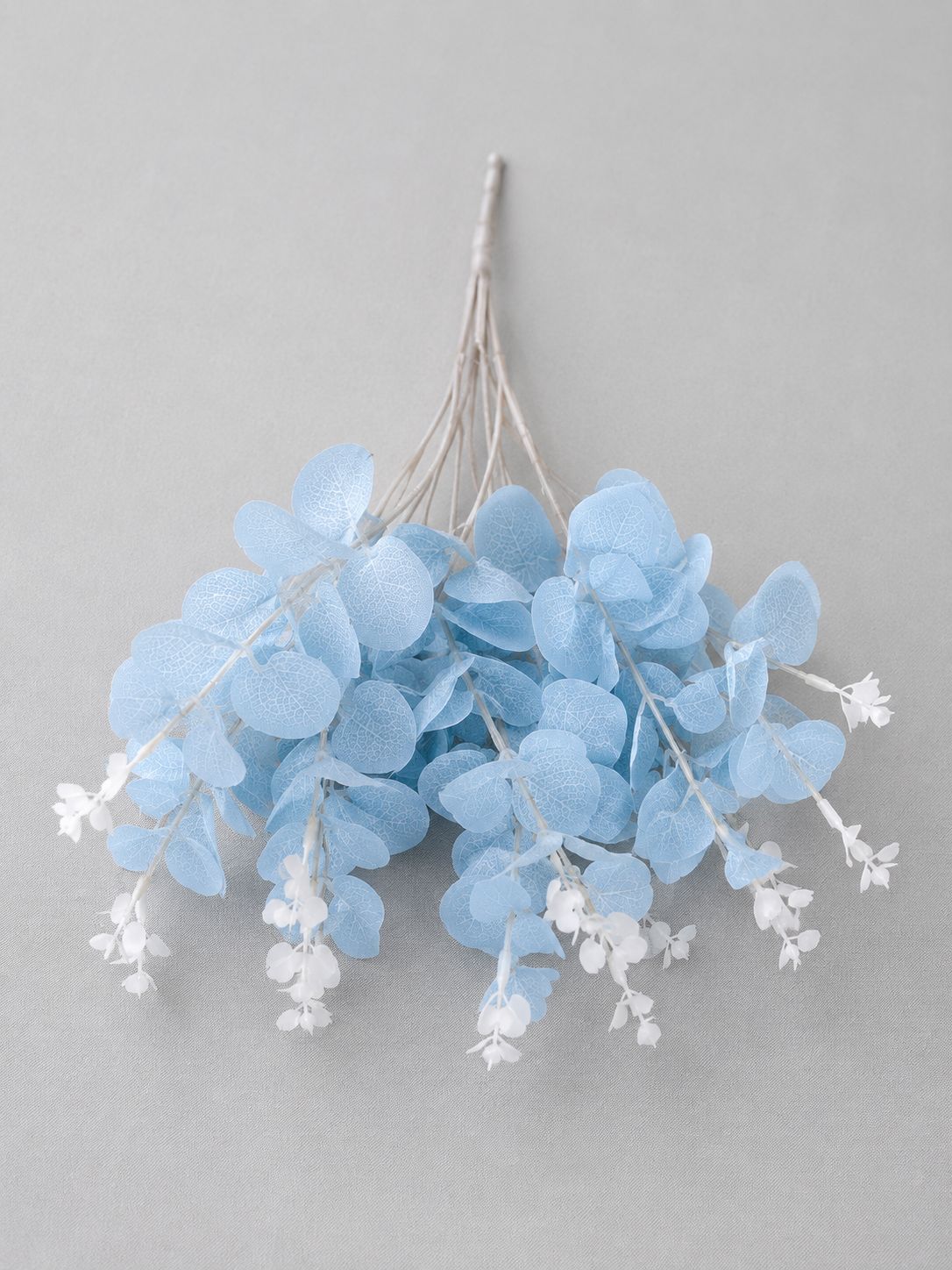Eucalyptus 16 Heads (45cm) 尤加利/金钱叶 | Fillers