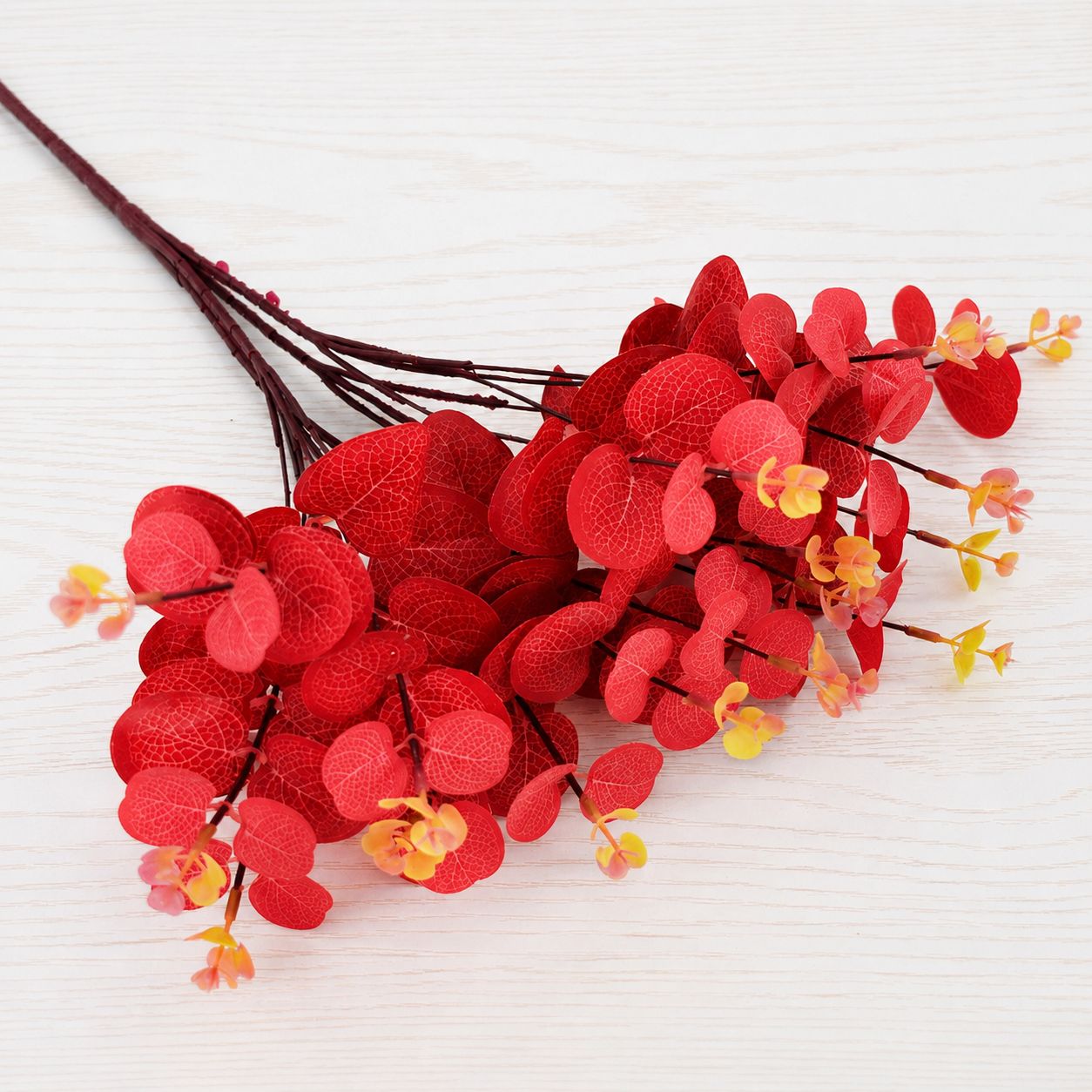 Eucalyptus 16 Heads (45cm) 尤加利/金钱叶 | Fillers