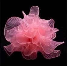 Korean Style Wave Organza 28cmx5Y 韩式波浪纱 | Wrapping Paper
