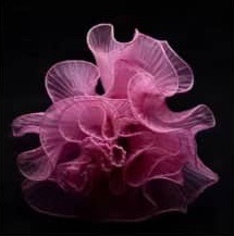 Korean Style Wave Organza 28cmx5Y 韩式波浪纱 | Wrapping Paper