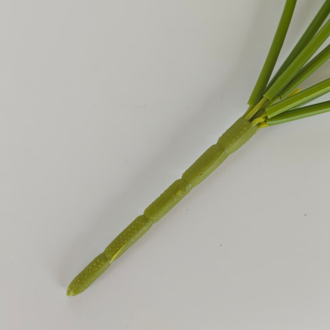 Tulip x 7 (42cm) | Short Flowers