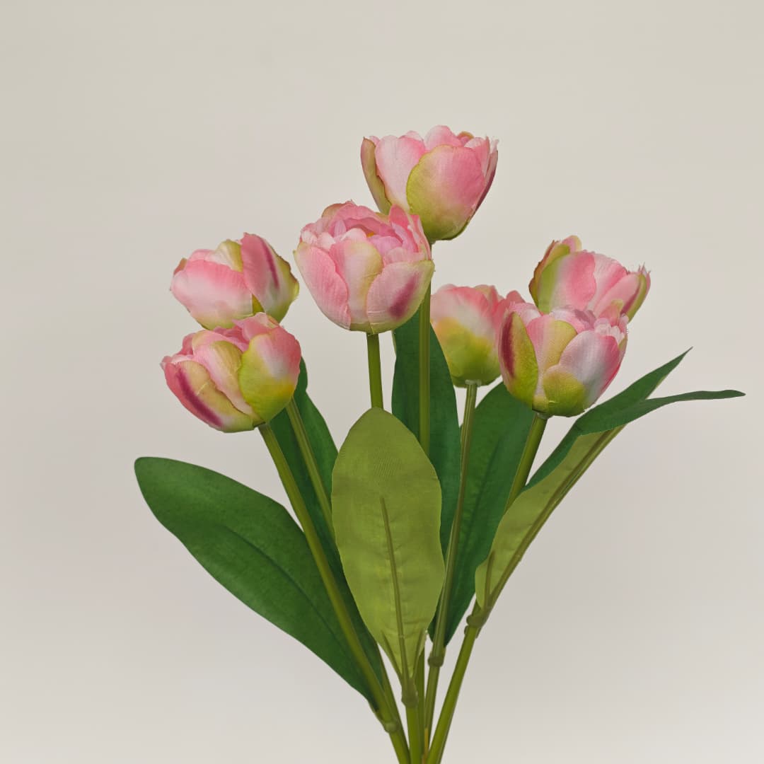 Tulip x 7 (42cm) | Short Flowers