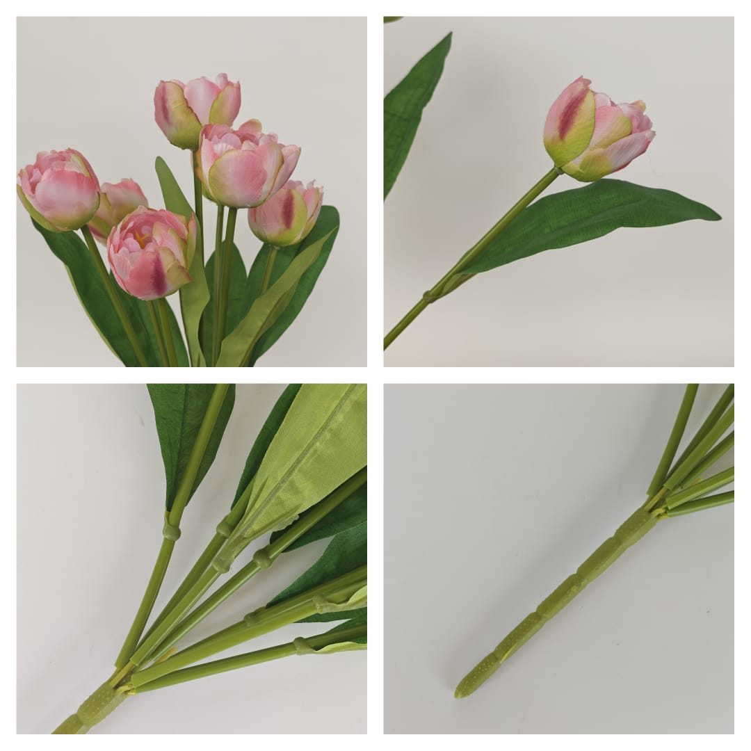 Tulip x 7 (42cm) | Short Flowers