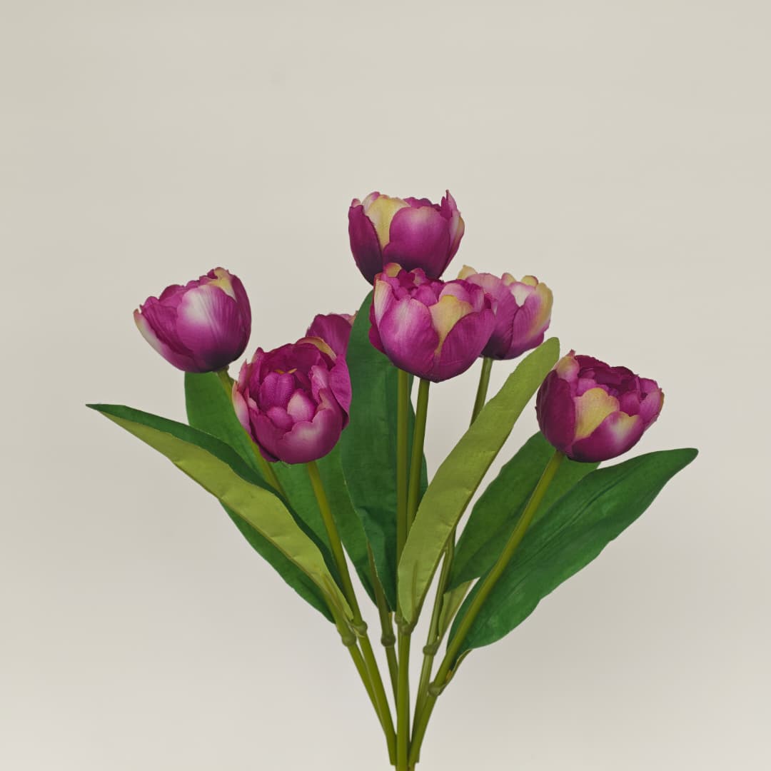 Tulip x 7 (42cm) | Short Flowers