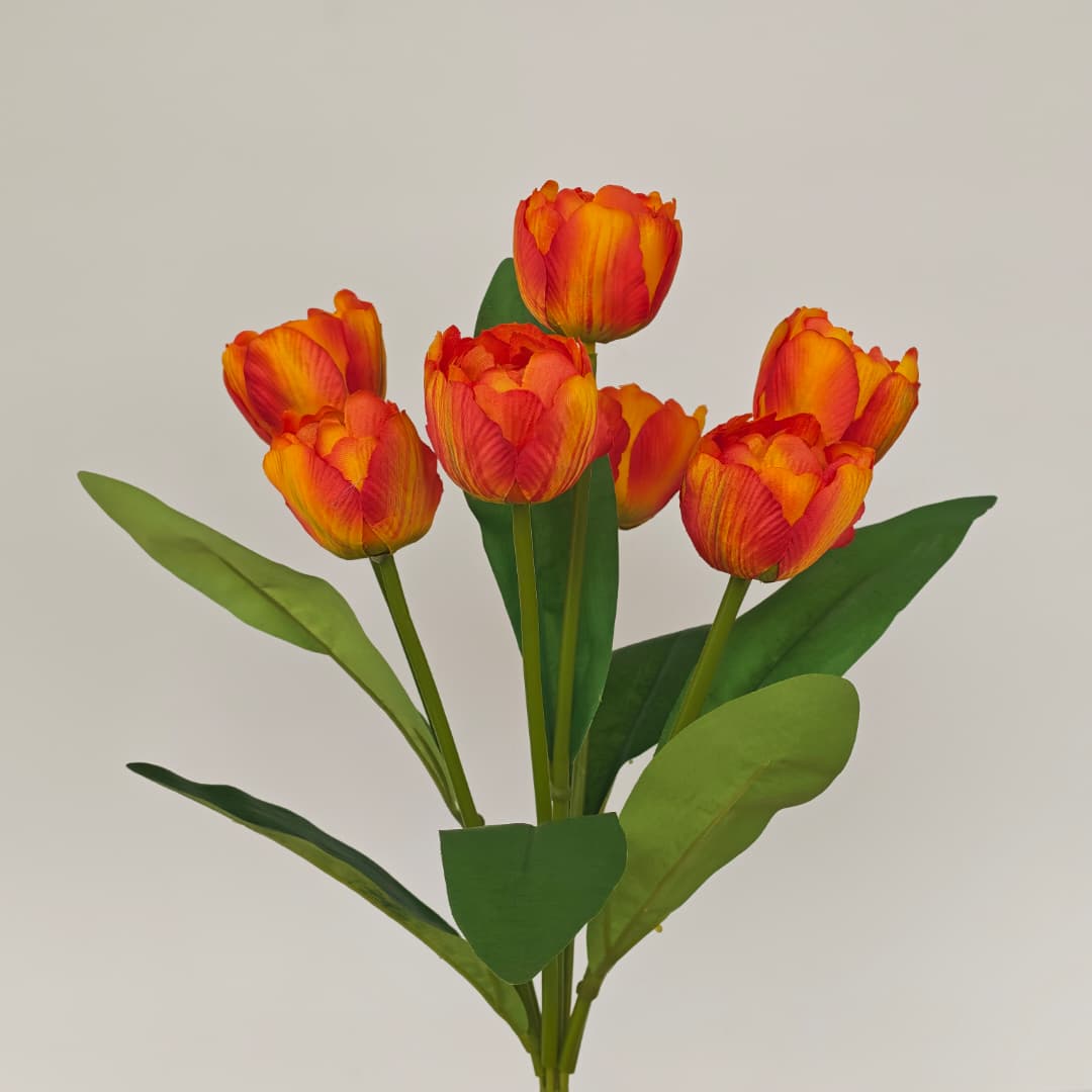 Tulip x 7 (42cm) | Short Flowers