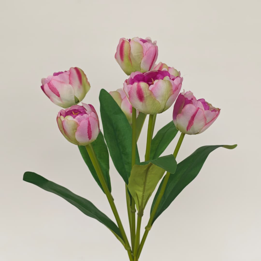 Tulip x 7 (42cm) | Short Flowers