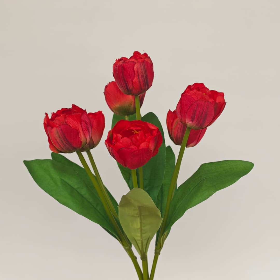 Tulip x 7 (42cm) | Short Flowers