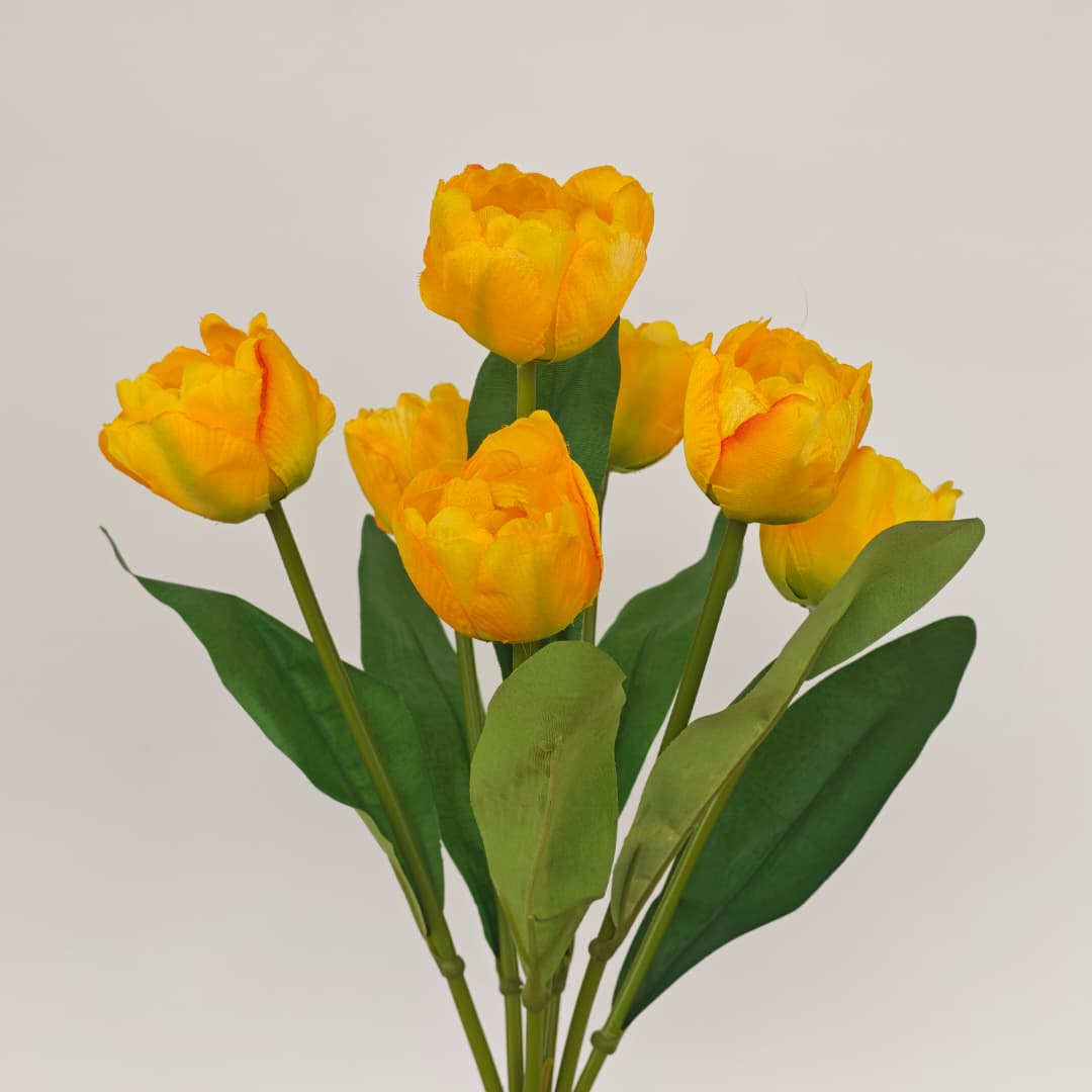 Tulip x 7 (42cm) | Short Flowers