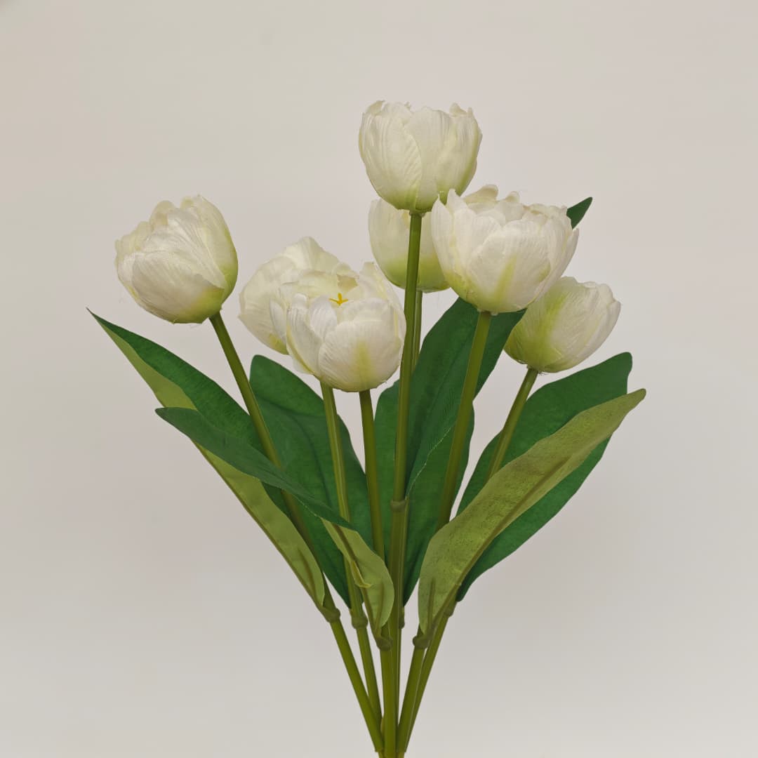 Tulip x 7 (42cm) | Short Flowers