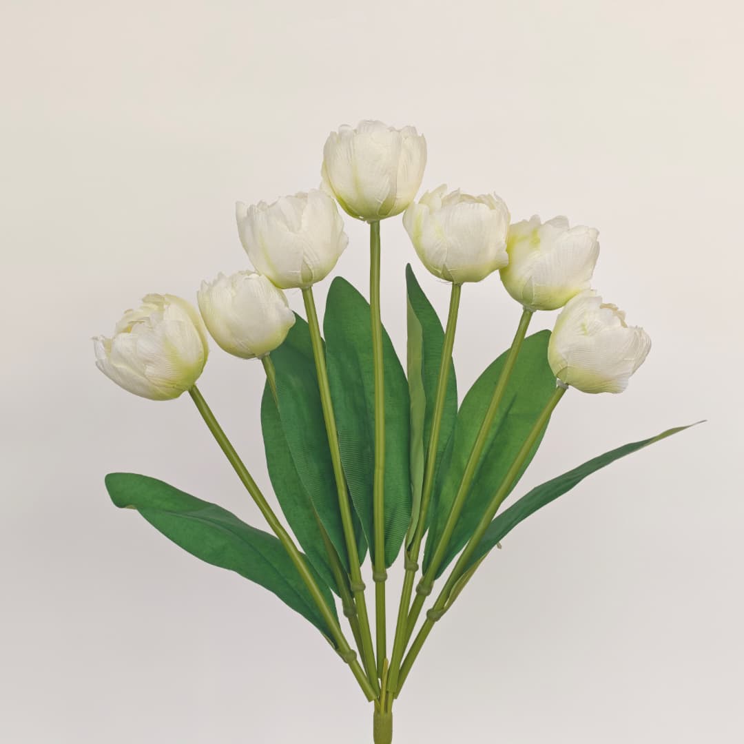 Tulip x 7 (42cm) | Short Flowers