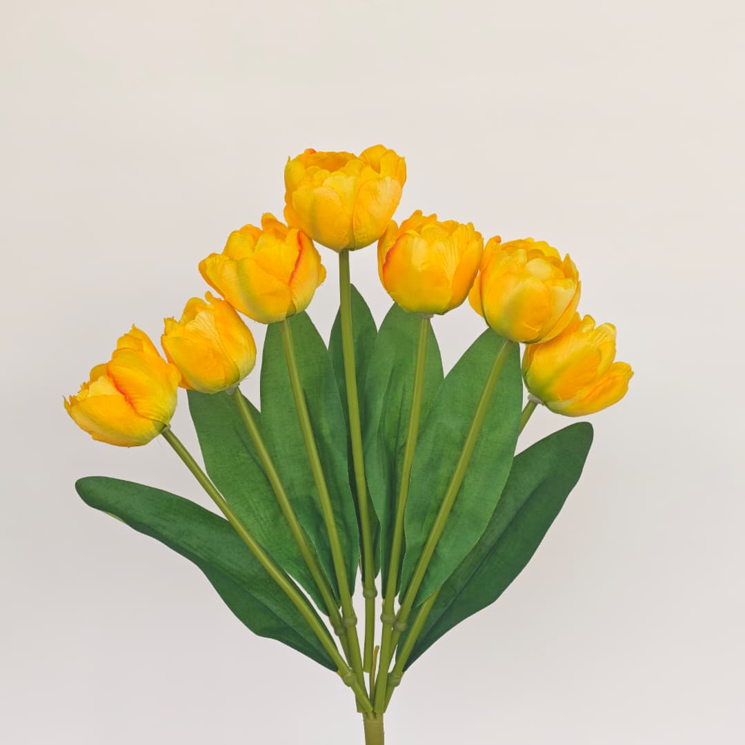 Tulip x 7 (42cm) | Short Flowers