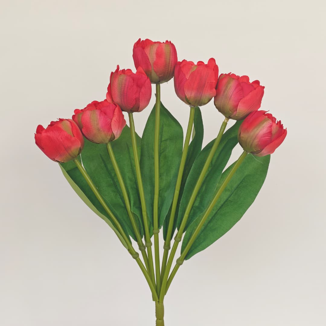 Tulip x 7 (42cm) | Short Flowers