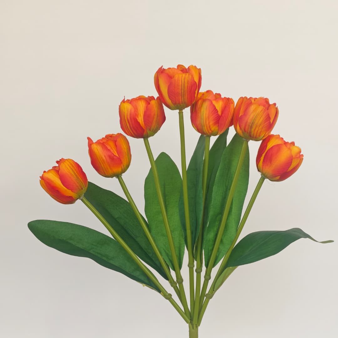 Tulip x 7 (42cm) | Short Flowers