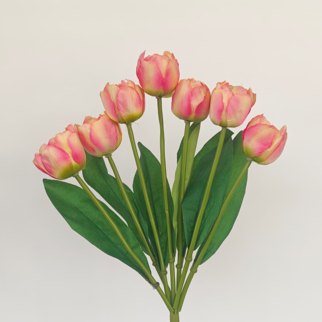 Tulip x 7 (42cm) | Short Flowers