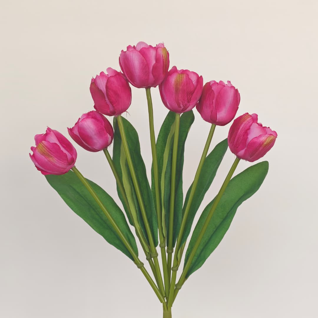 Tulip x 7 (42cm) | Short Flowers