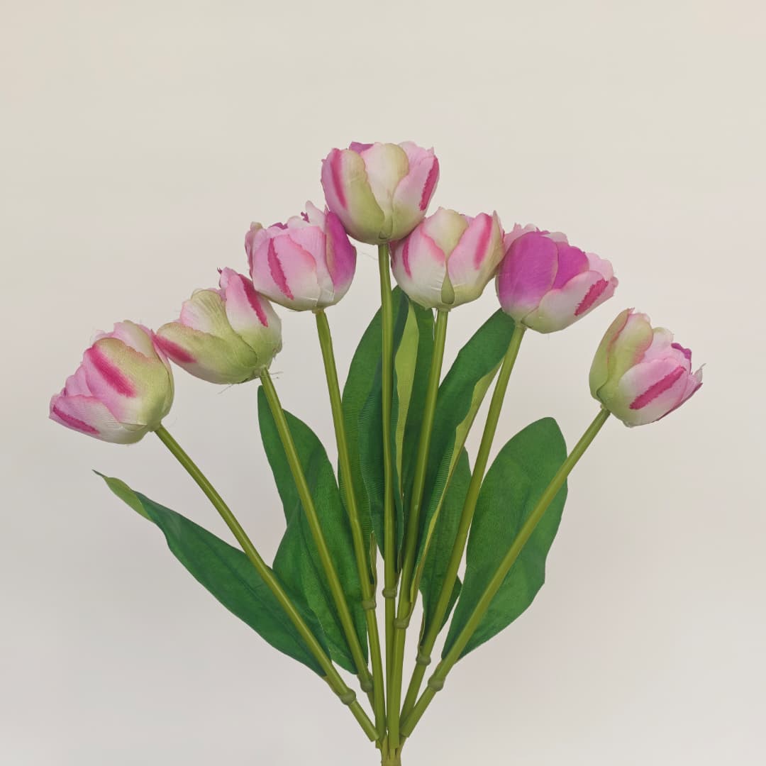Tulip x 7 (42cm) | Short Flowers
