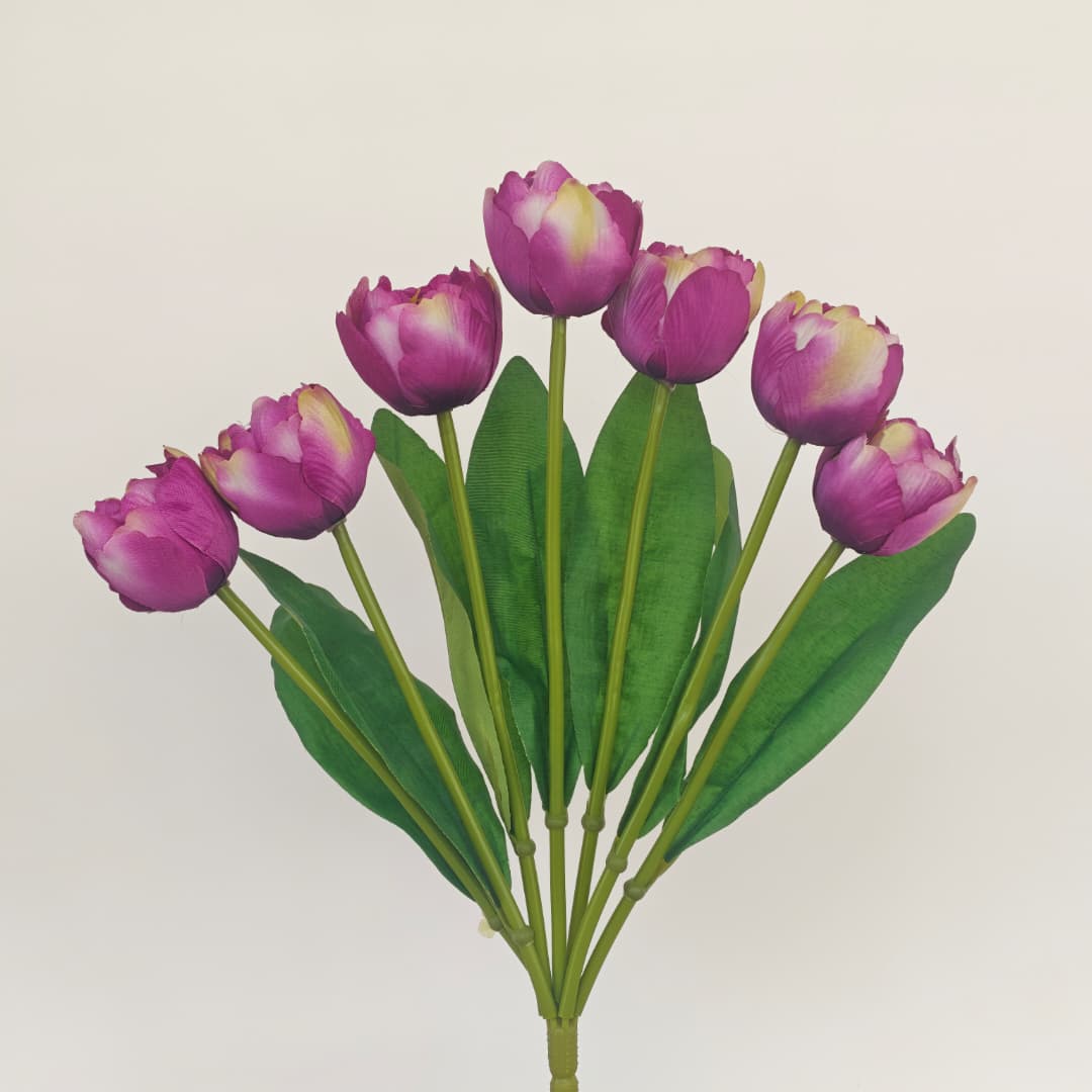 Tulip x 7 (42cm) | Short Flowers