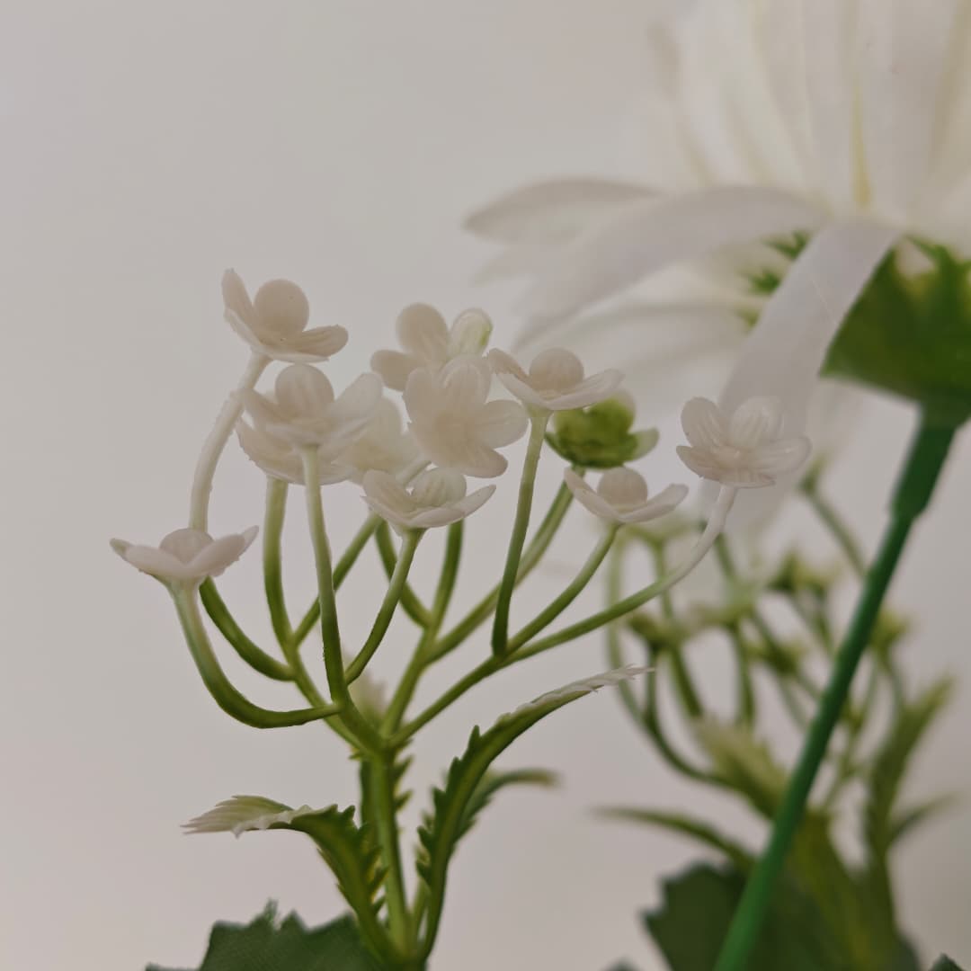 Mum Bush | Short Flowers