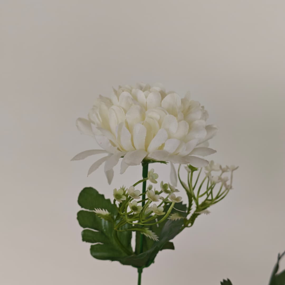Mum Bush | Short Flowers