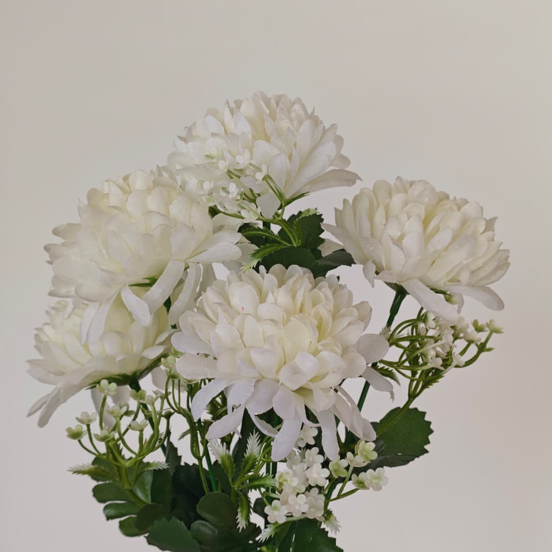 Mum Bush | Short Flowers